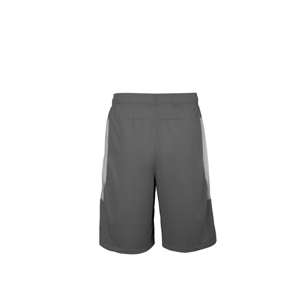 Mizuno Aerolite Shorts Herr Grå | 265041BQU