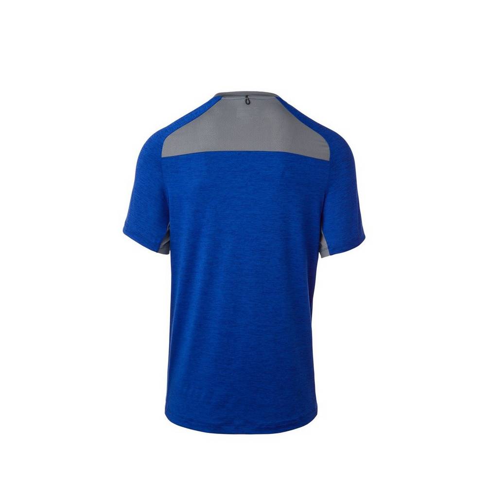 Mizuno Alpha Korta Sleeve T shirts Herr Kungsblått | 129480BTR