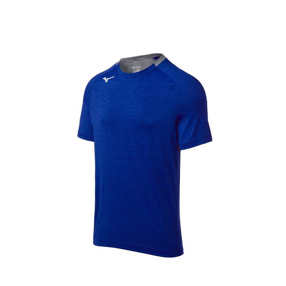 Mizuno Alpha Korta Sleeve T shirts Herr Kungsblått | 129480BTR