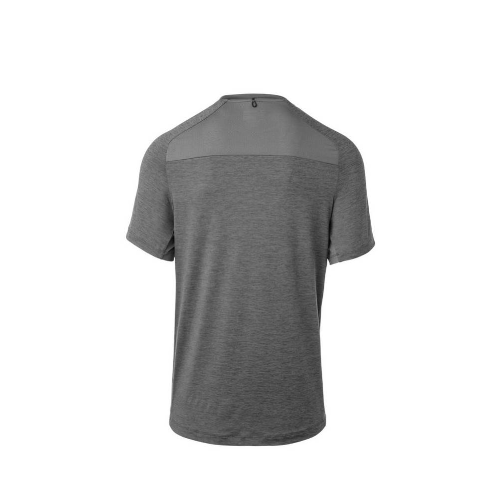 Mizuno Alpha Korta Sleeve T shirts Herr Grå | 962483ZJP