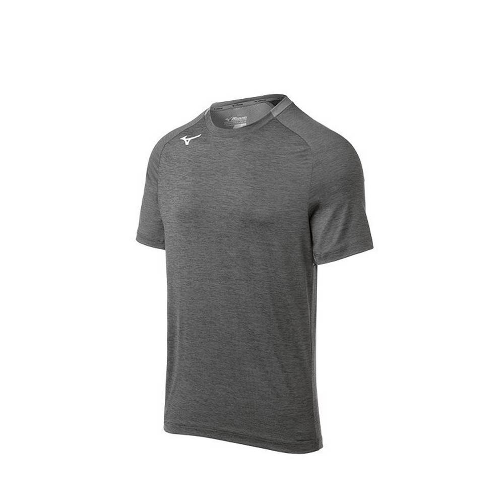 Mizuno Alpha Korta Sleeve T shirts Herr Grå | 962483ZJP