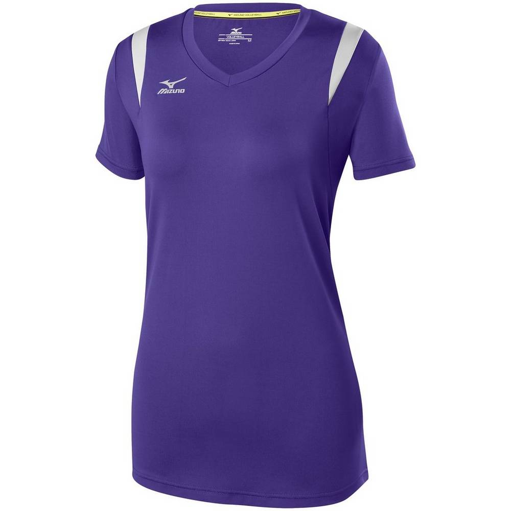 Mizuno Balboa 5.0 Long Sleeve Volleyball Jersey Dam Lila Silver | 584073BMH