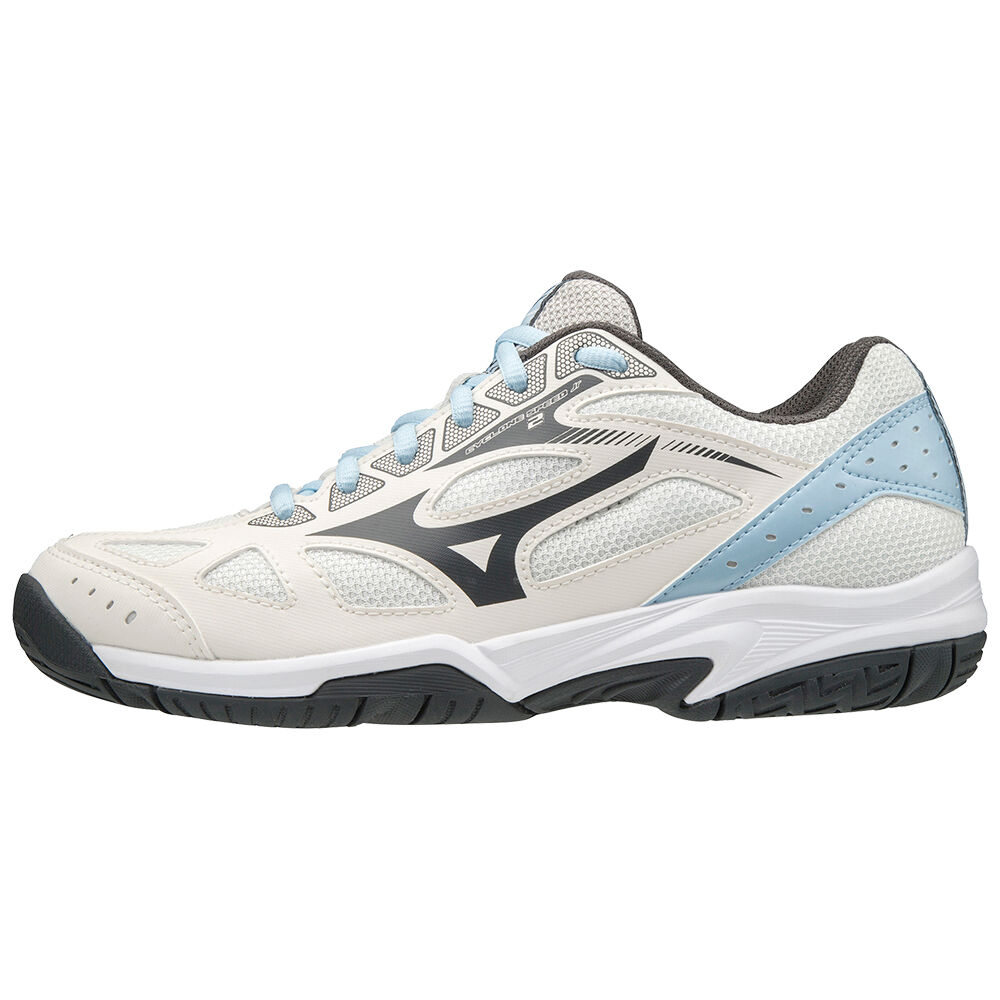 Mizuno Cyclone Speed 2 Volleybollskor Herr Vita Grå | 709216JNK