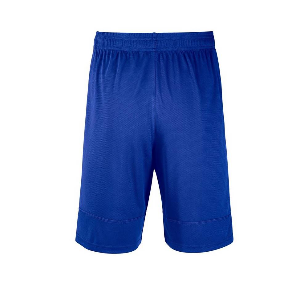 Mizuno Foray Tränings Shorts Herr Kungsblått | 587936HOT