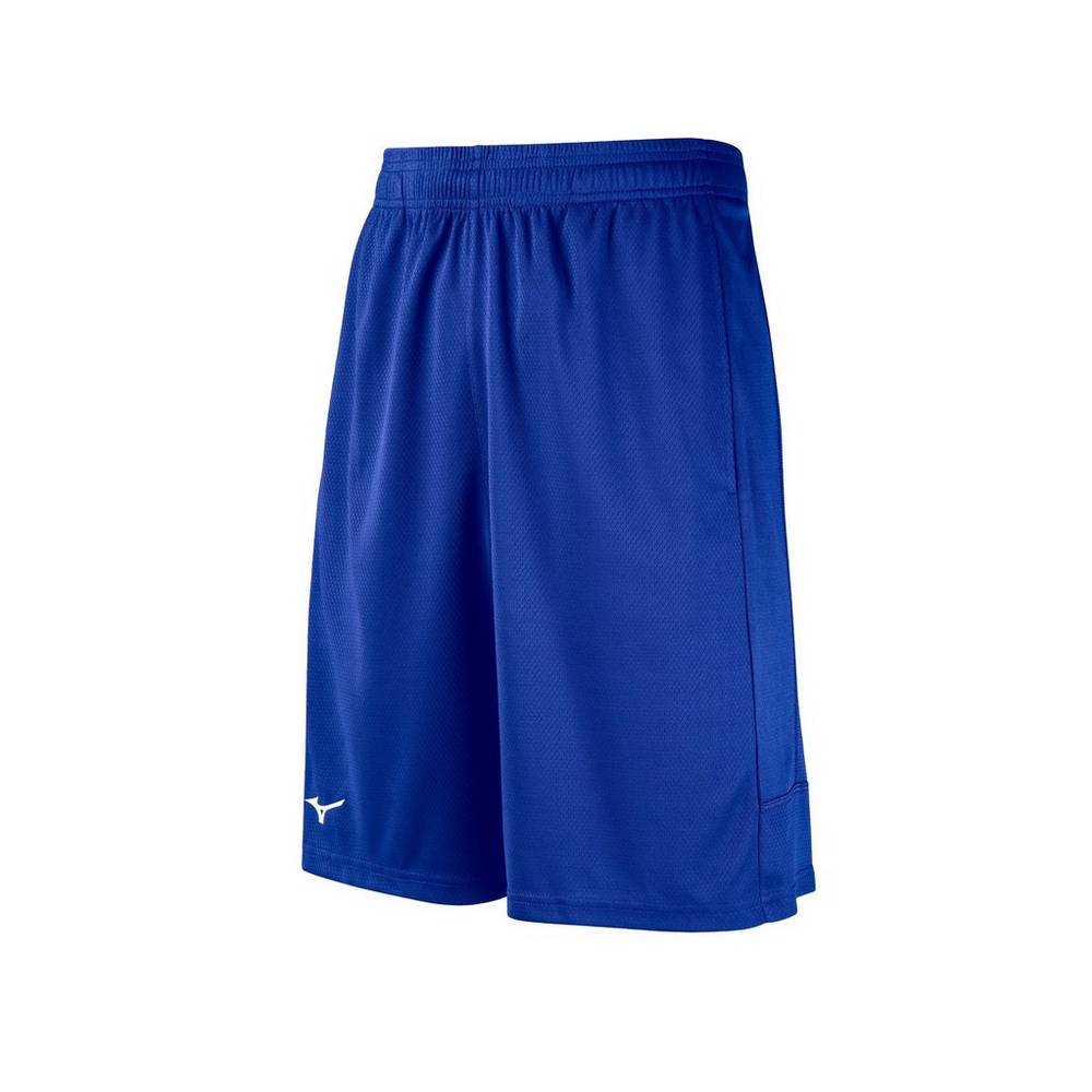 Mizuno Foray Tränings Shorts Herr Kungsblått | 587936HOT