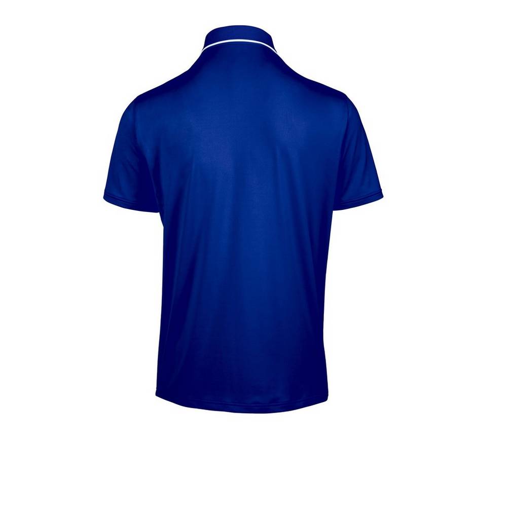 Mizuno Performance Polo Herr Kungsblått | 607519YZR