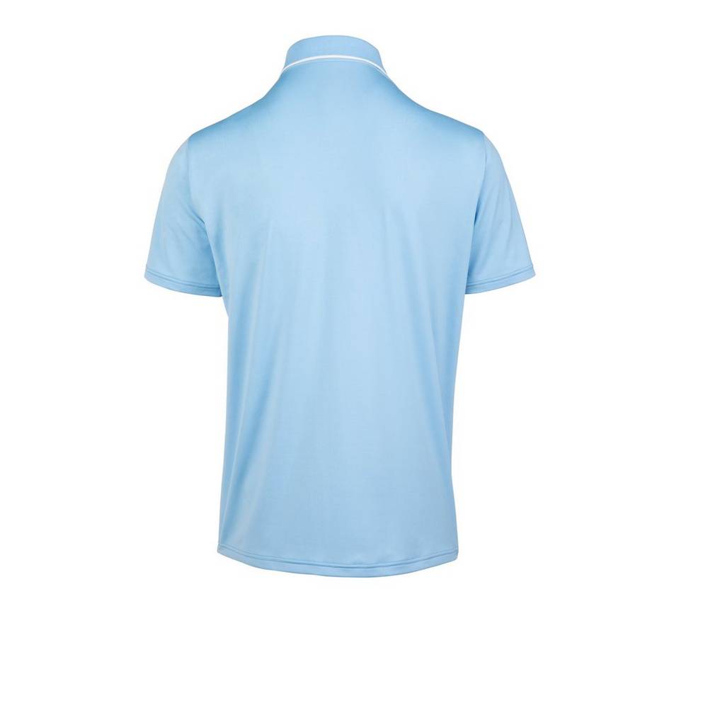 Mizuno Performance Polo Herr Ljusblå | 674129HBL