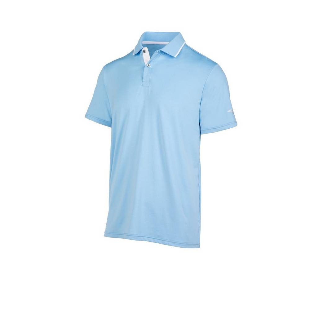 Mizuno Performance Polo Herr Ljusblå | 674129HBL