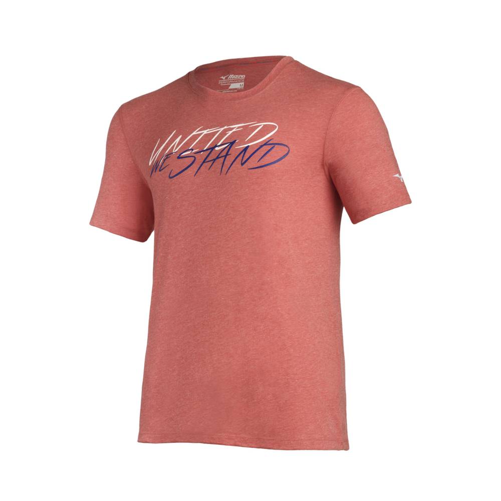 Mizuno United We Stand Inspire T shirts Herr Röda | 738924GEY