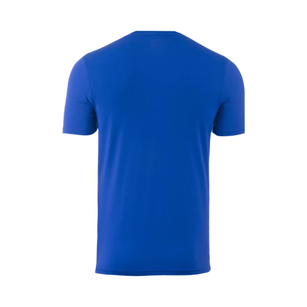 Mizuno Volleyball Attack 2.0 T shirts Herr Kungsblått | 729850MEN