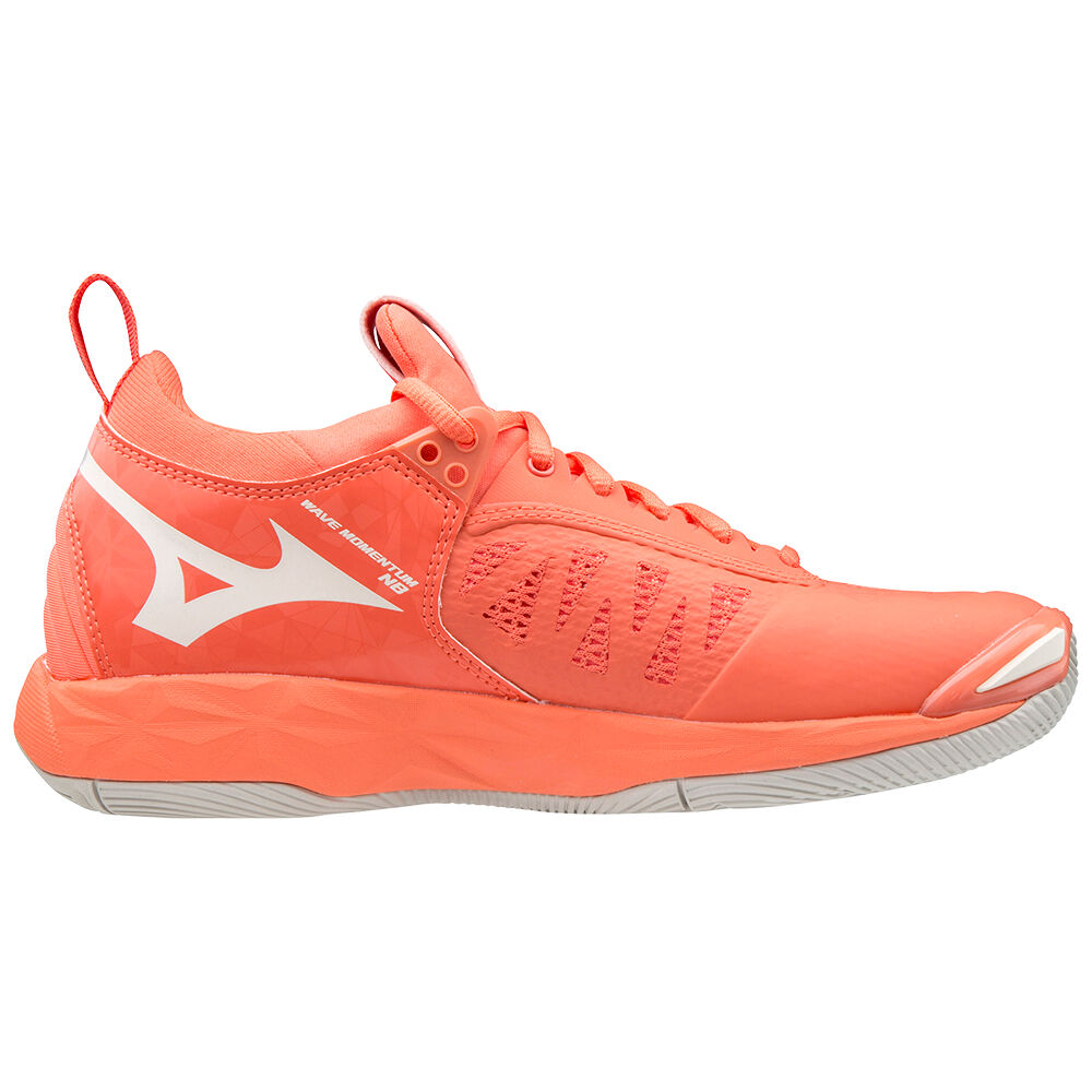 Mizuno WAVE MOMENTUM NB Netball Skor Dam Grå Grå | 410286QGF