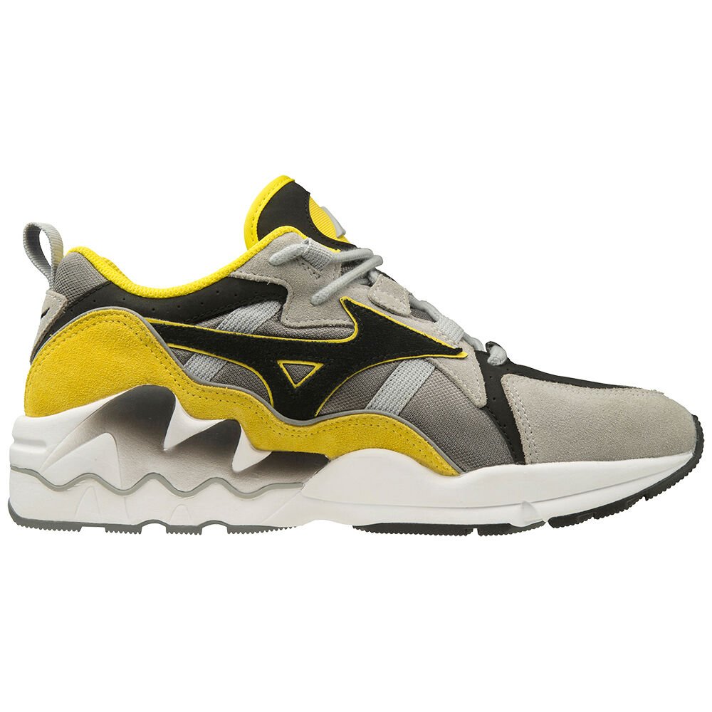 Mizuno WAVE RIDER 1 S Sneakers Dam Grå Svarta | 685190JTV