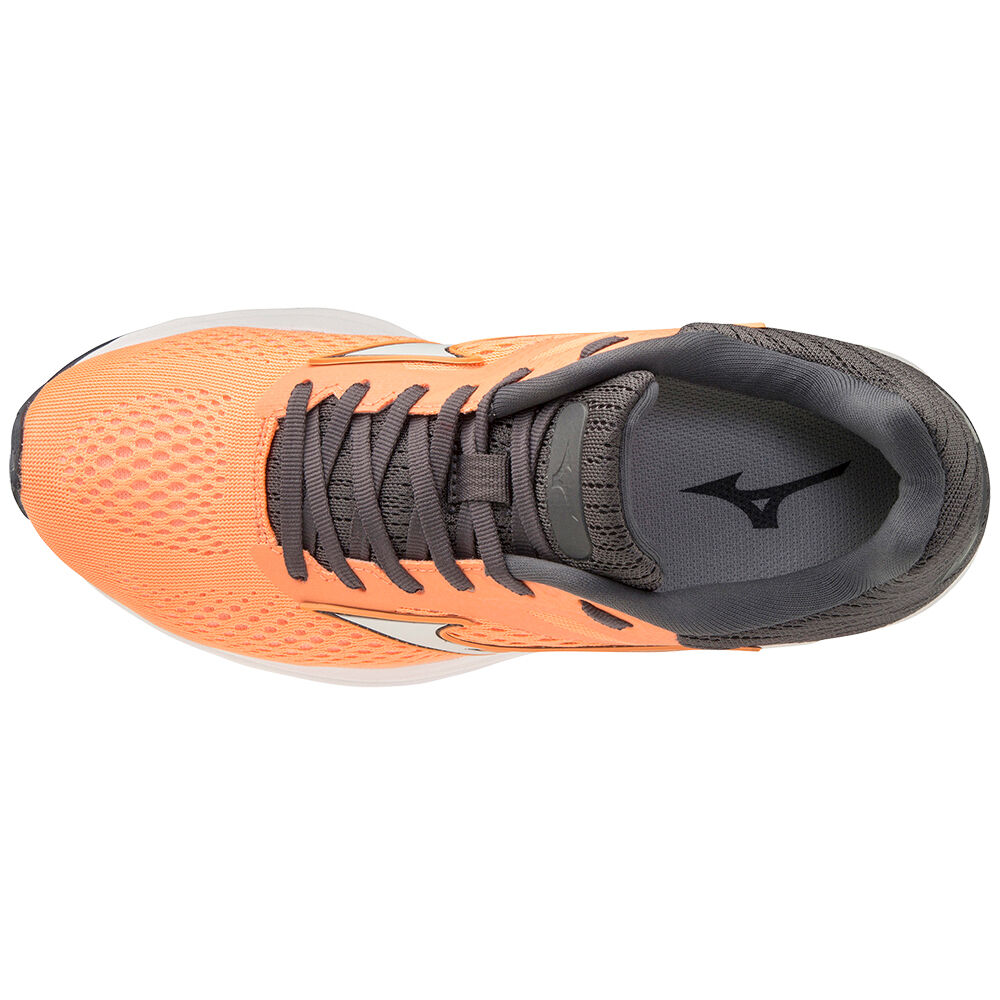 Mizuno WAVE RIDER 23 Löparskor Dam Orange | 986502JCV