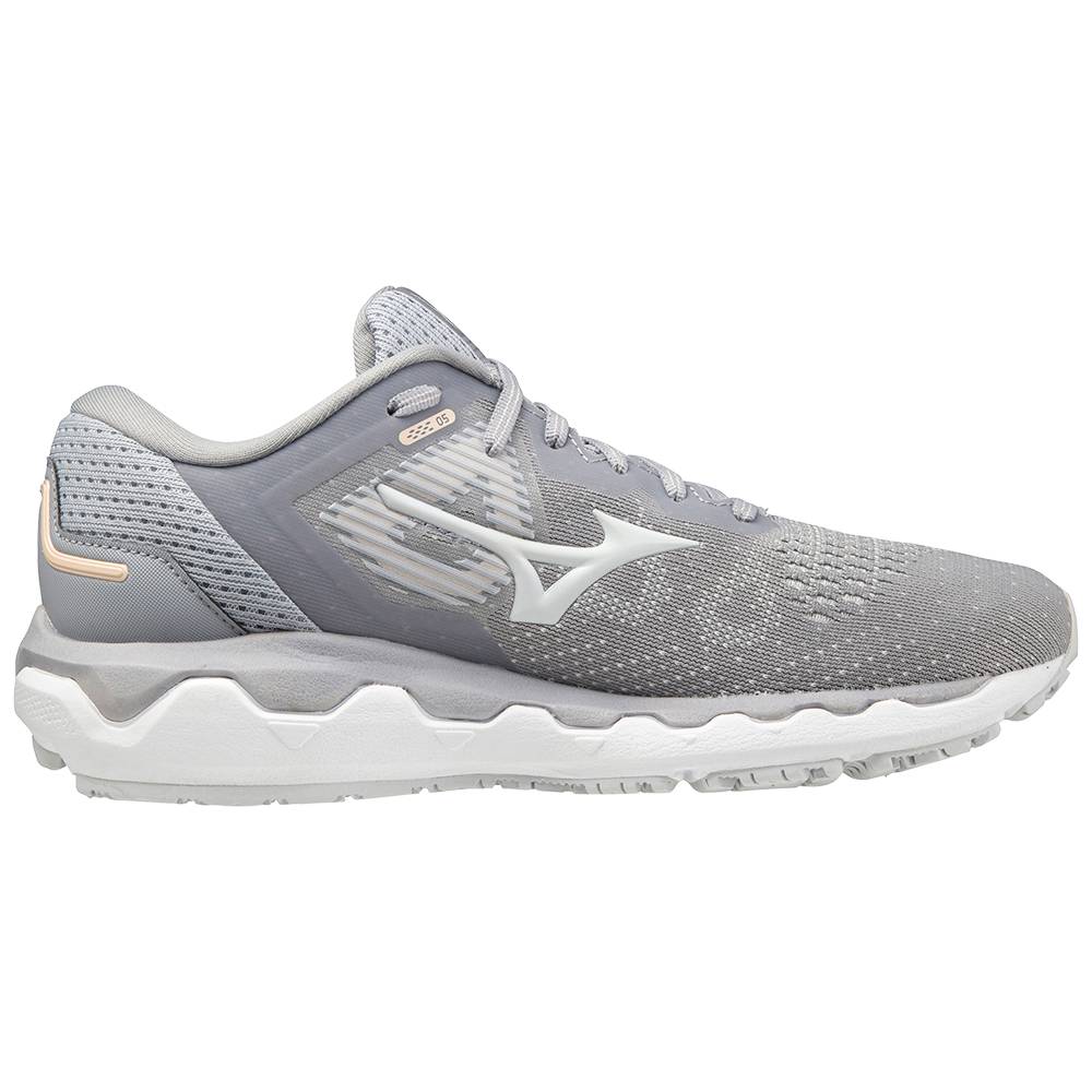 Mizuno Wave Horizon 5 Löparskor Dam Silver Blå | 365807CJO