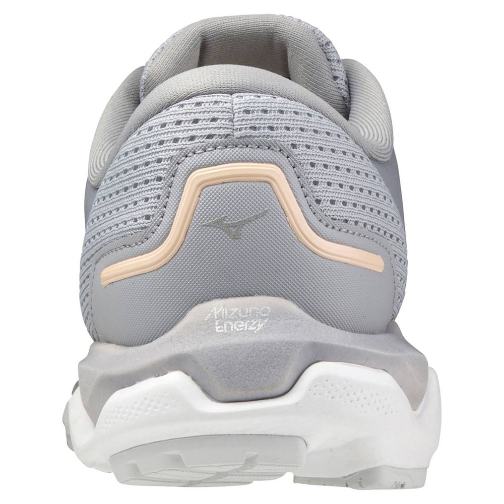 Mizuno Wave Horizon 5 Löparskor Dam Silver Blå | 365807CJO