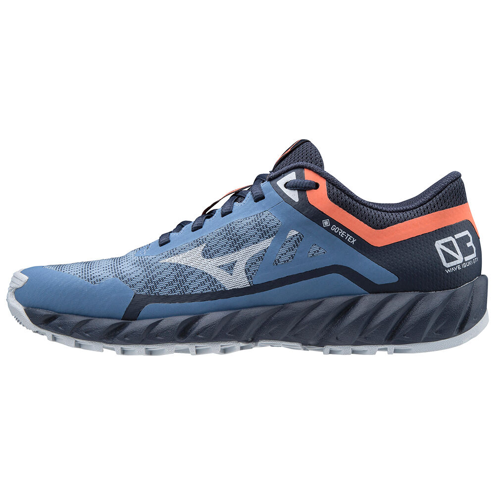 Mizuno Wave Ibuki 3 GTX Trail löparskor Dam Blå | 416327VJN