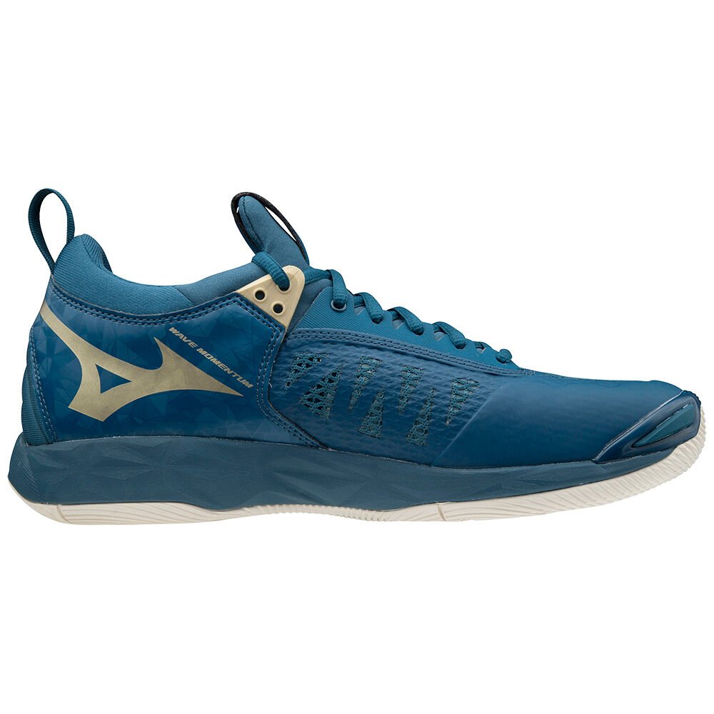 Mizuno Wave Momentum Volleybollskor Dam Blå | 048956ZHS