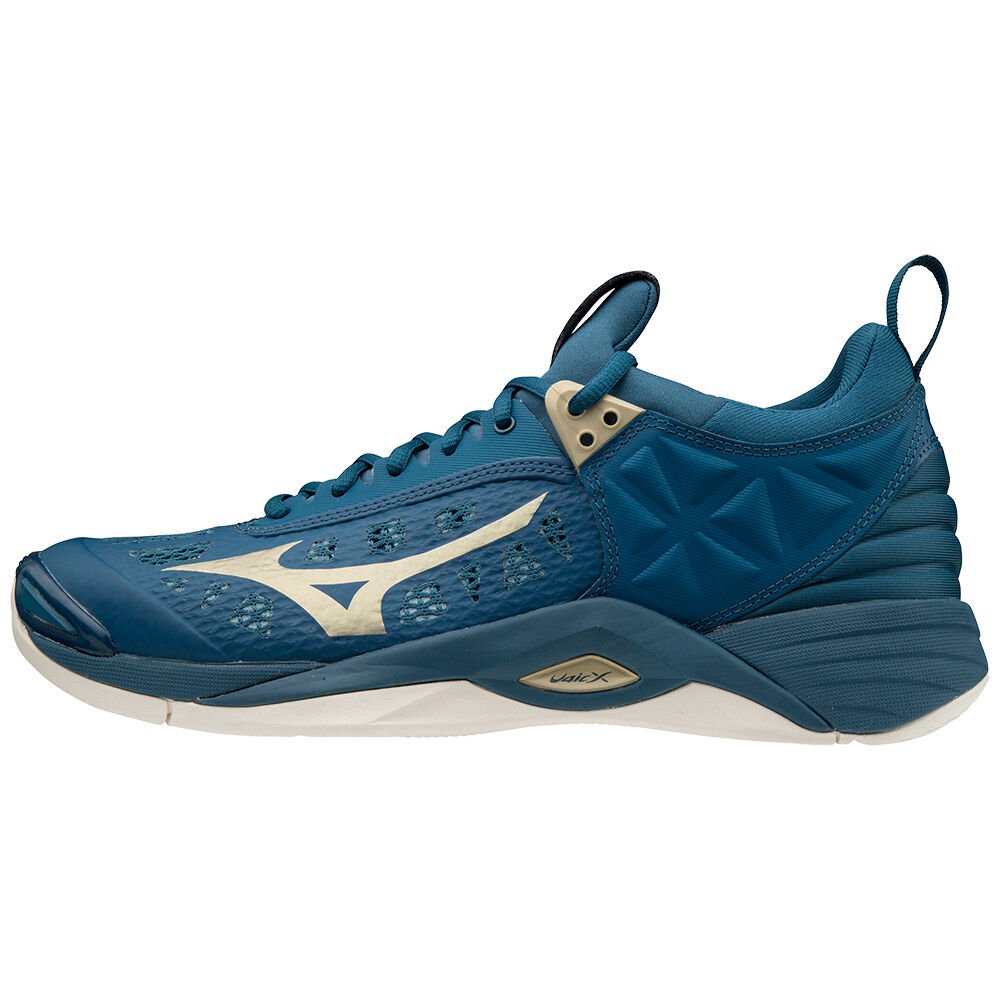 Mizuno Wave Momentum Volleybollskor Dam Blå | 048956ZHS