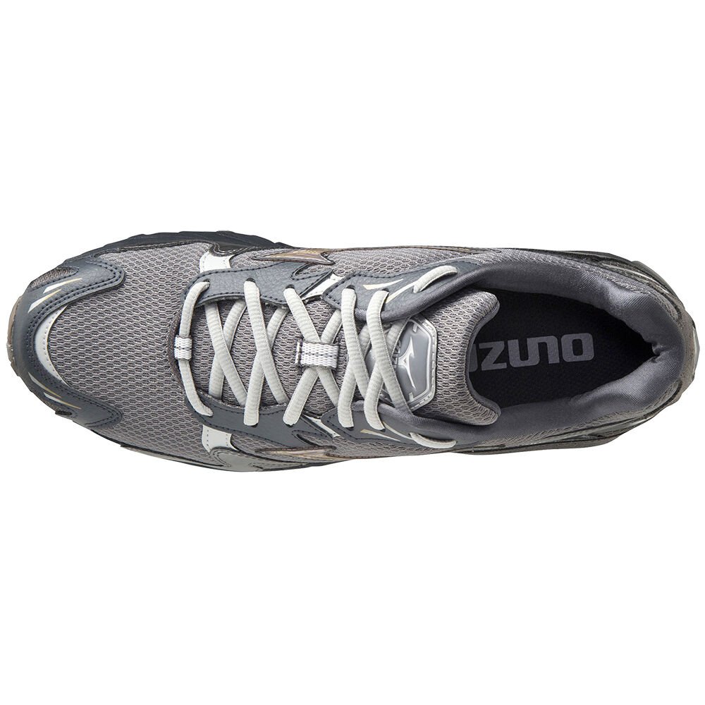 Mizuno Wave Rider 10 Sneakers Dam Grå | 062174ICW