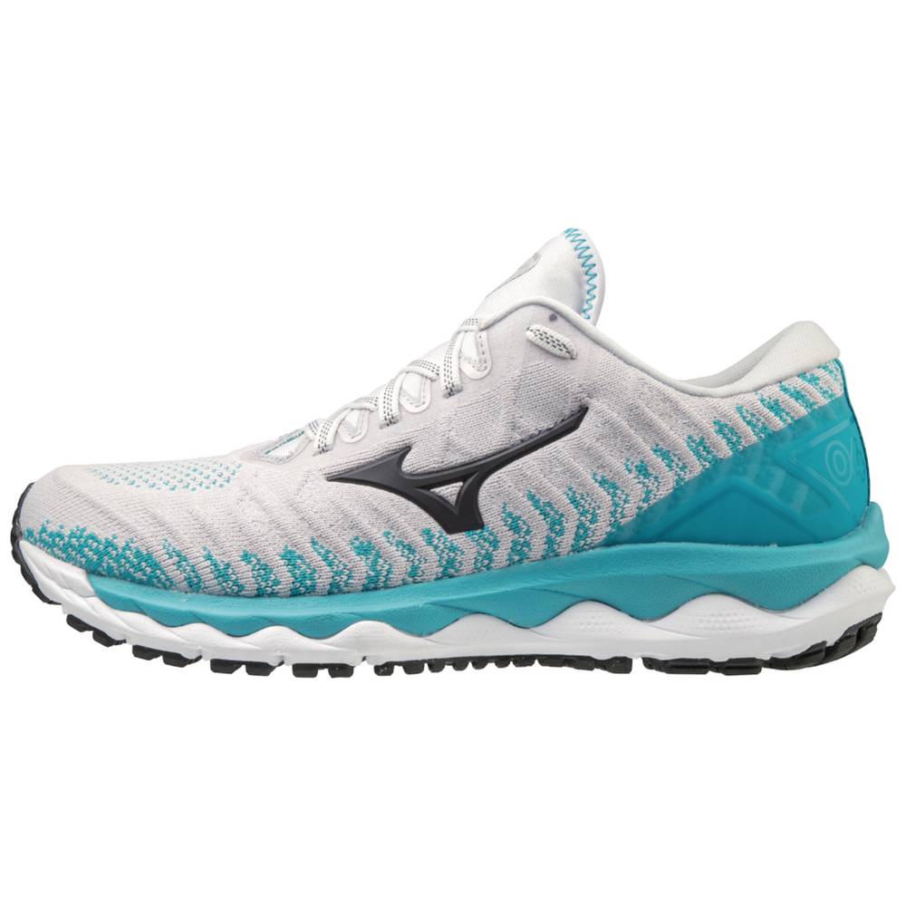 Mizuno Wave Sky 4 WAVEKNIT Löparskor Dam Vita Blå | 124689LQV