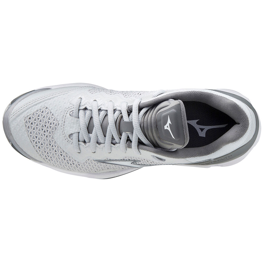 Mizuno Wave Stealth V Nb Netball Skor Dam Vita Grå | 483162LWF