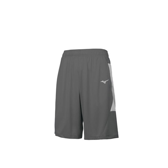 Mizuno Aerolite Shorts Herr Grå | 265041BQU