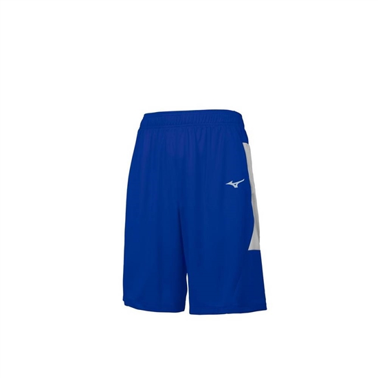 Mizuno Aerolite Shorts Herr Kungsblått Grå | 968517NKX