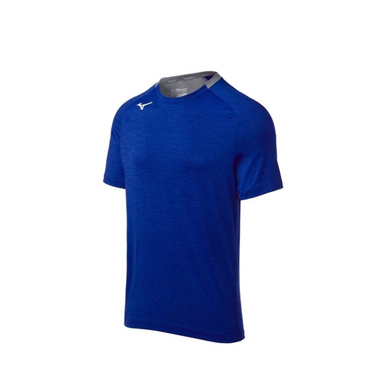 Mizuno Alpha Korta Sleeve T shirts Herr Kungsblått | 129480BTR