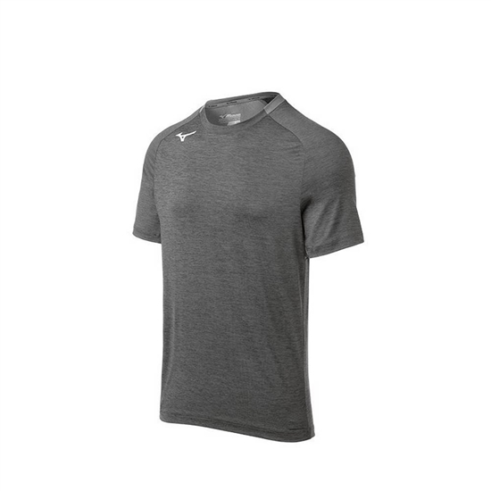 Mizuno Alpha Korta Sleeve T shirts Herr Grå | 962483ZJP